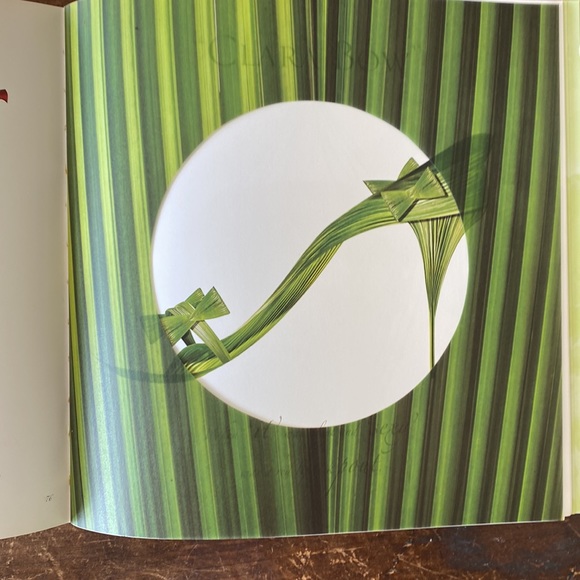 Shoe Fleur a Footwear Fantasy Book by Michel Tcherebkoff - Picture 10 of 16